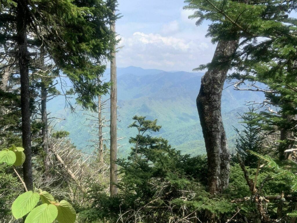 Mount Le Conte, Great Smoky Mountain National Park