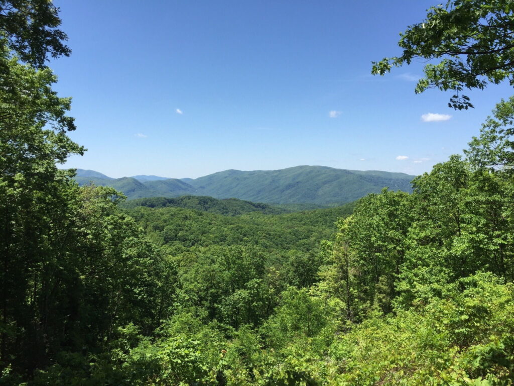 Roaring Fork Motor Trail, Great Smoky Mountain National Park Roaring Fork Motor Trail, Smoky Mountains Hiking Trail, things to do in the smokies, things to do in the Great Smoky Mountain National Park